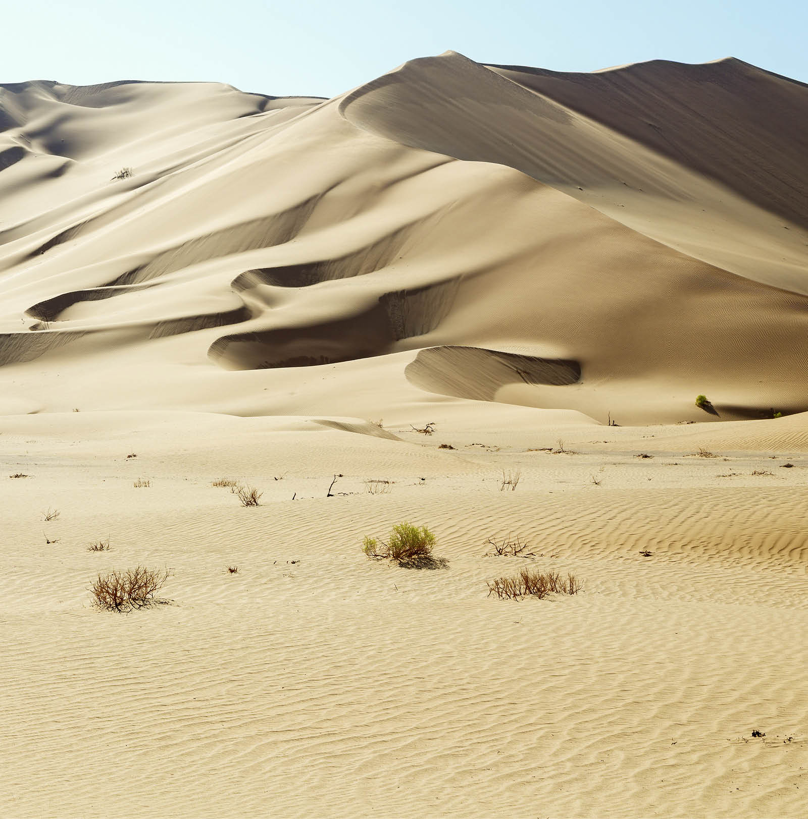 the empty quarter  and outdoor  sand  dune in oman old desert rub   al khali