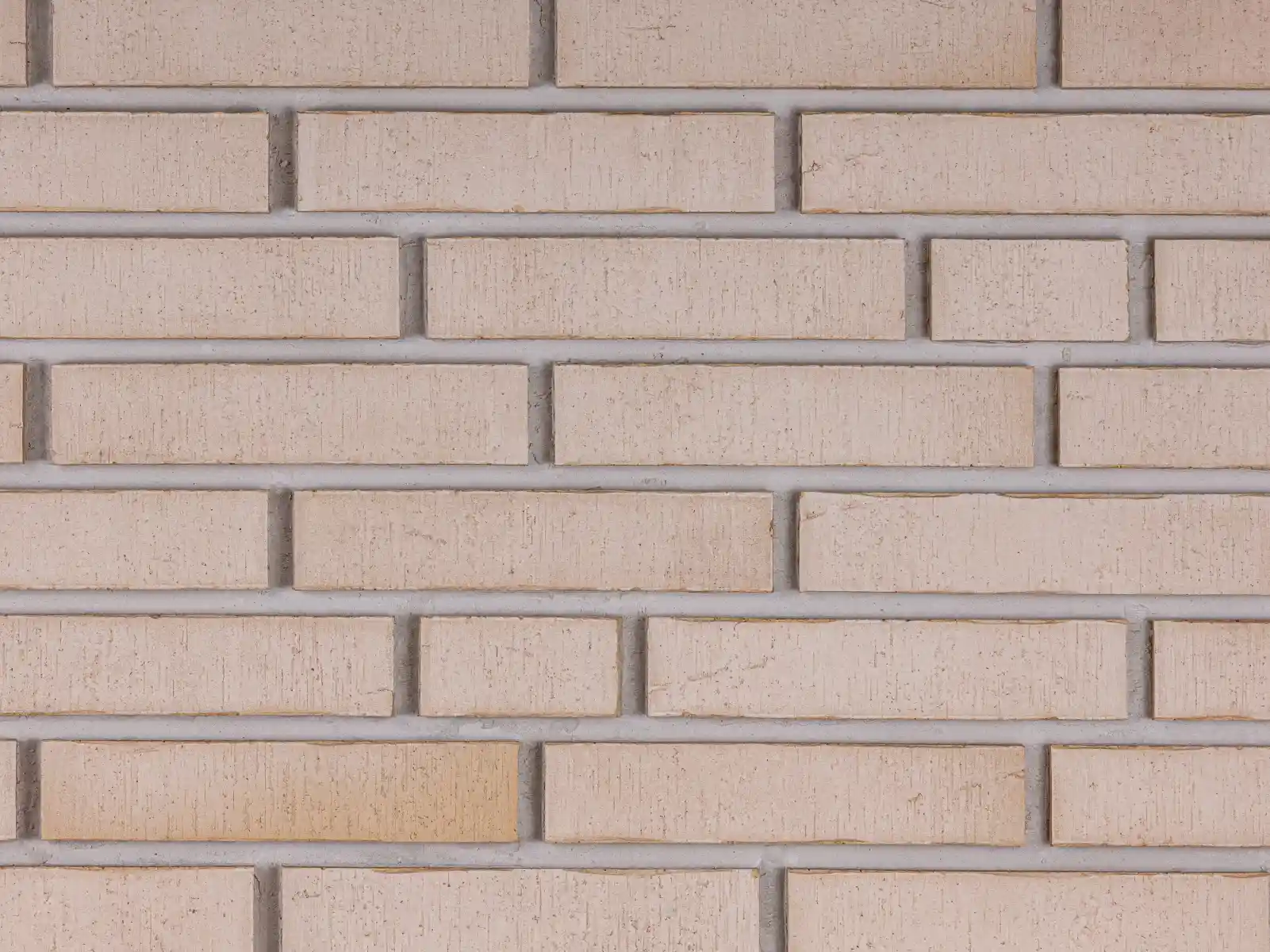 Winkelriemchen Titan Abula