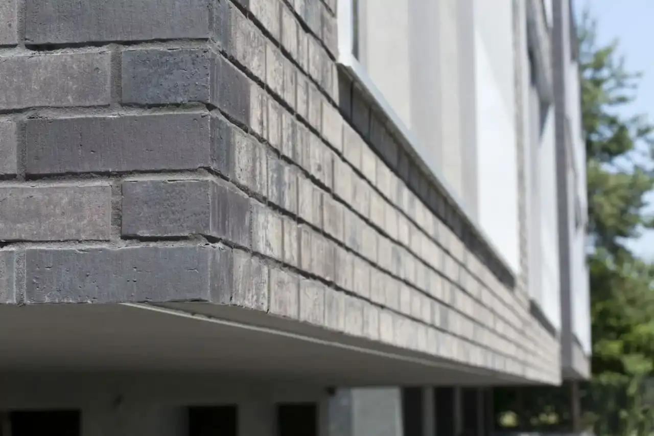 Nahaufnahme der Sorte Titan Petino an einer Hausecke