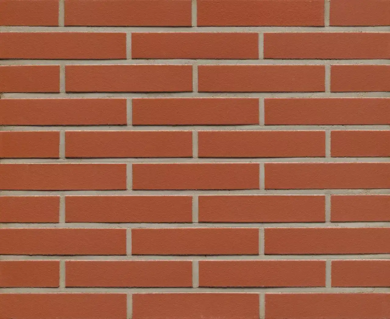 Riemchen der Sorte Titan Liso