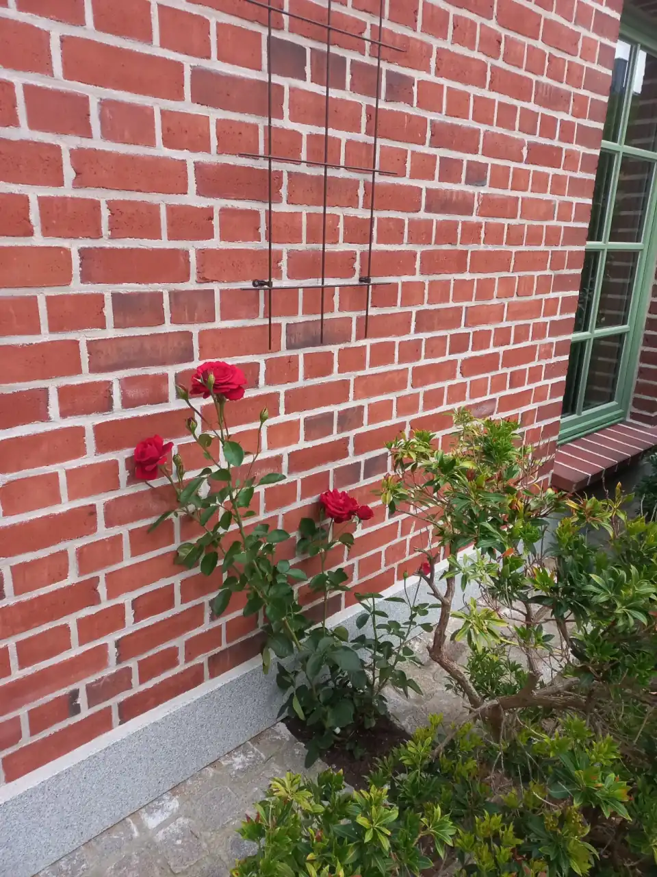 Nahaufnahme einer Hauswand mit den Klinkervollsteinen New York Flamme