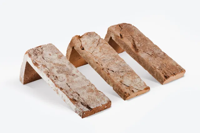Winkelriemchen_Kategorie Winkelriemchen_Kategorie