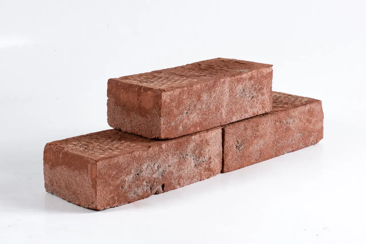 Drei Vollsteine der Sorte Rubinrot