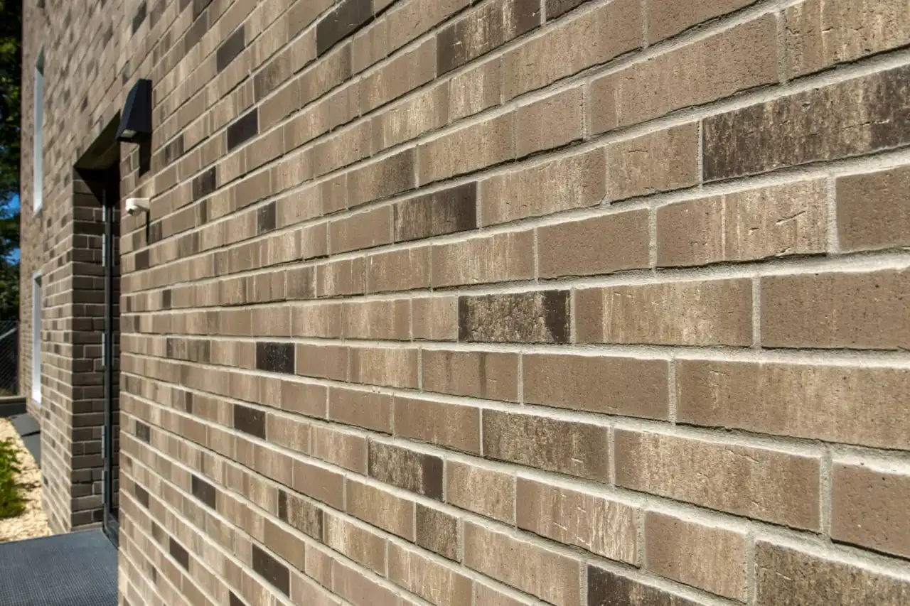 Nahaufnahme der Sorte Titan Rotado mit grauen Riemchen und dunklen Akzenten