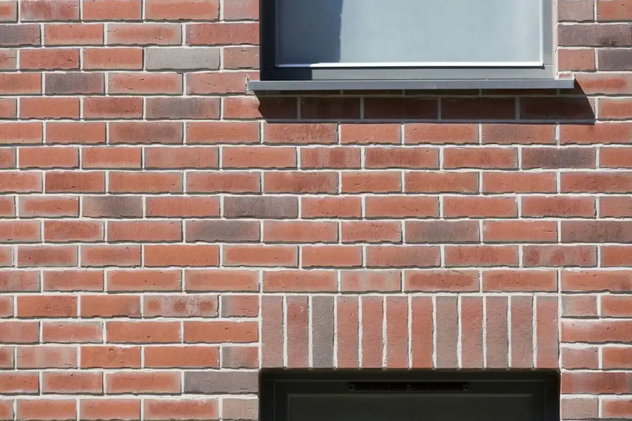 Detailaufnahme der Sorte Titan Carbo in rot