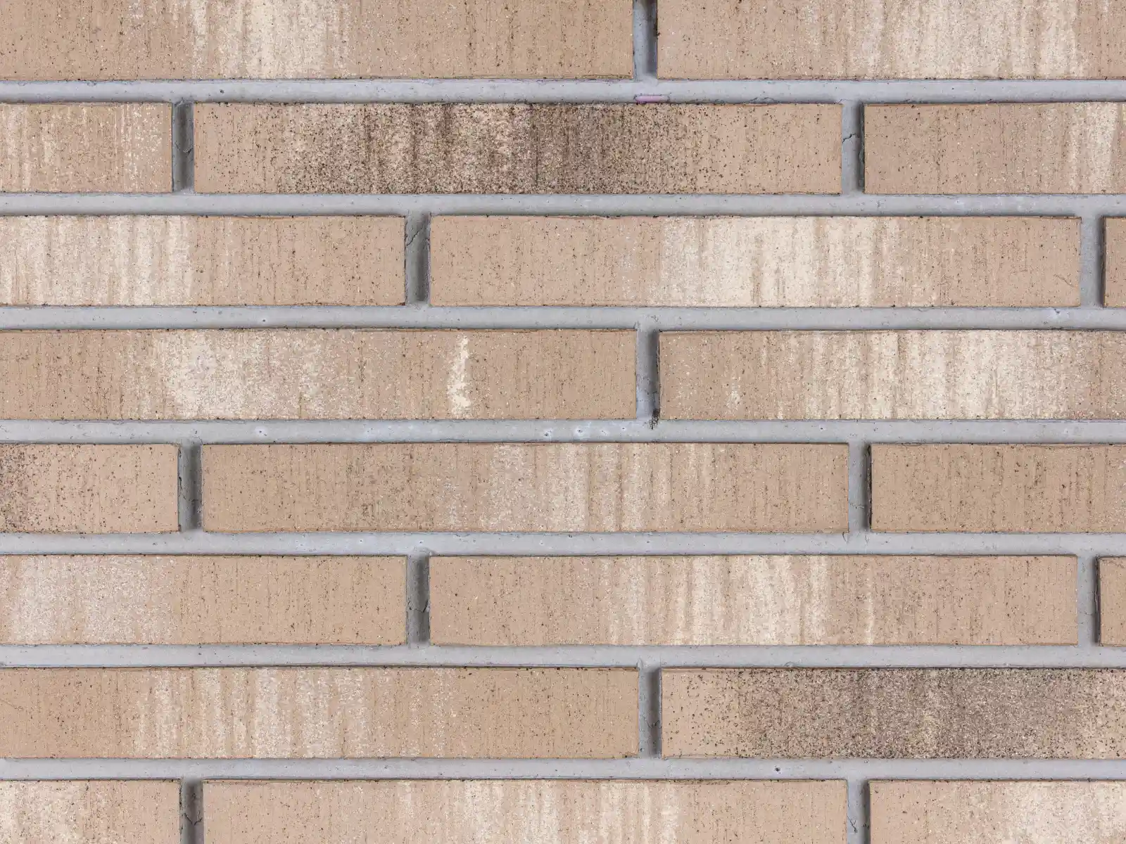 Winkelriemchen Titan Rotado DF grau beige