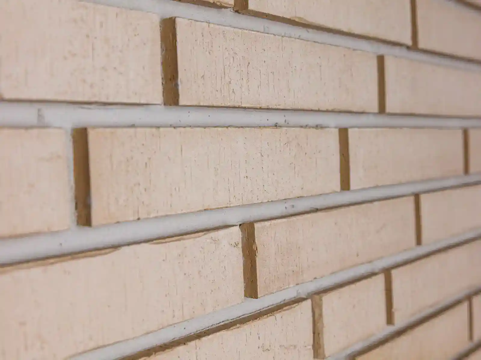 Winkelriemchen Titan Abula