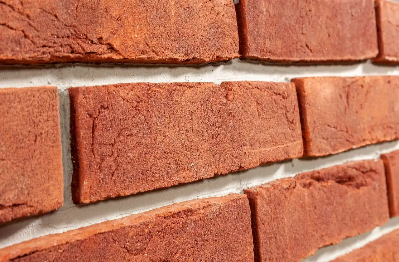 Detailaufnahme der Riemchensorte Rotgeflammt