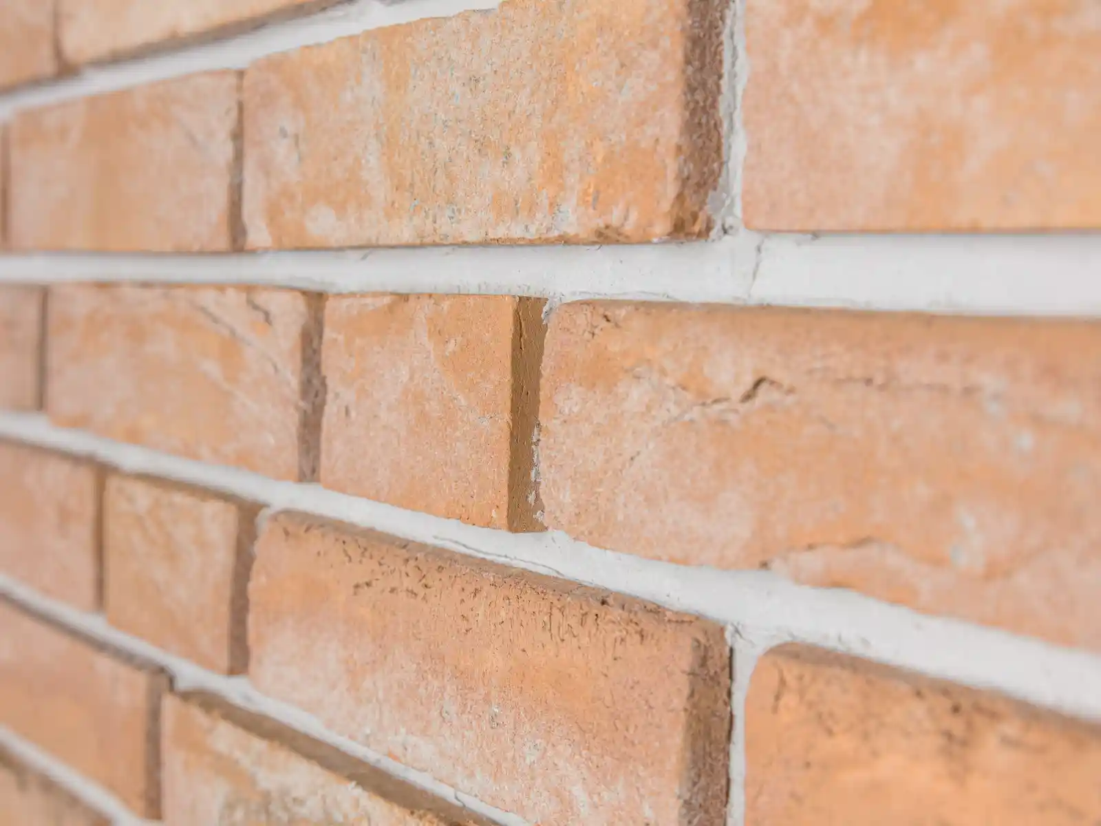 Winkelriemchen Apfelblüte rose