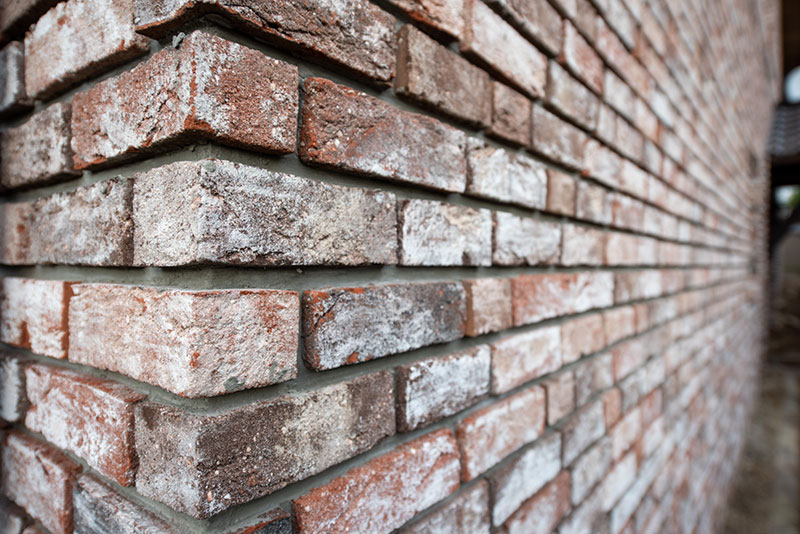 Detailaufnahme der Sorte Antik classic an einer Hausecke mit Winkelriemchen