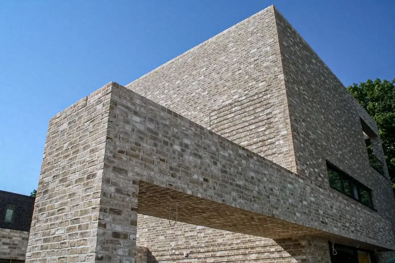 Hauswand mit der Sorte Irish moor und Pfeiler