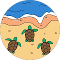 user_profile