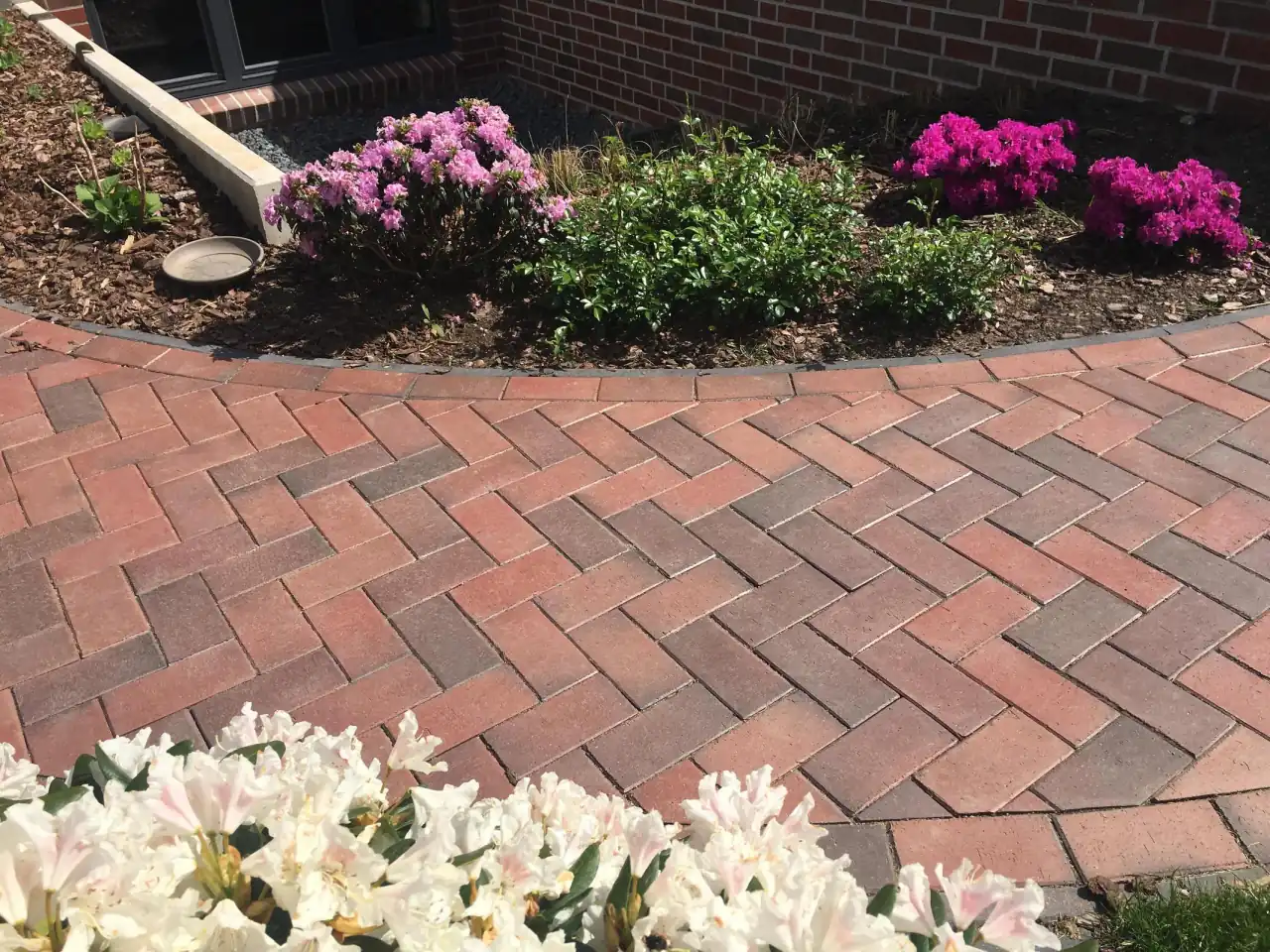 Terrassenweg mit der Sorte Balkum im Garten mit angelegten Beeten