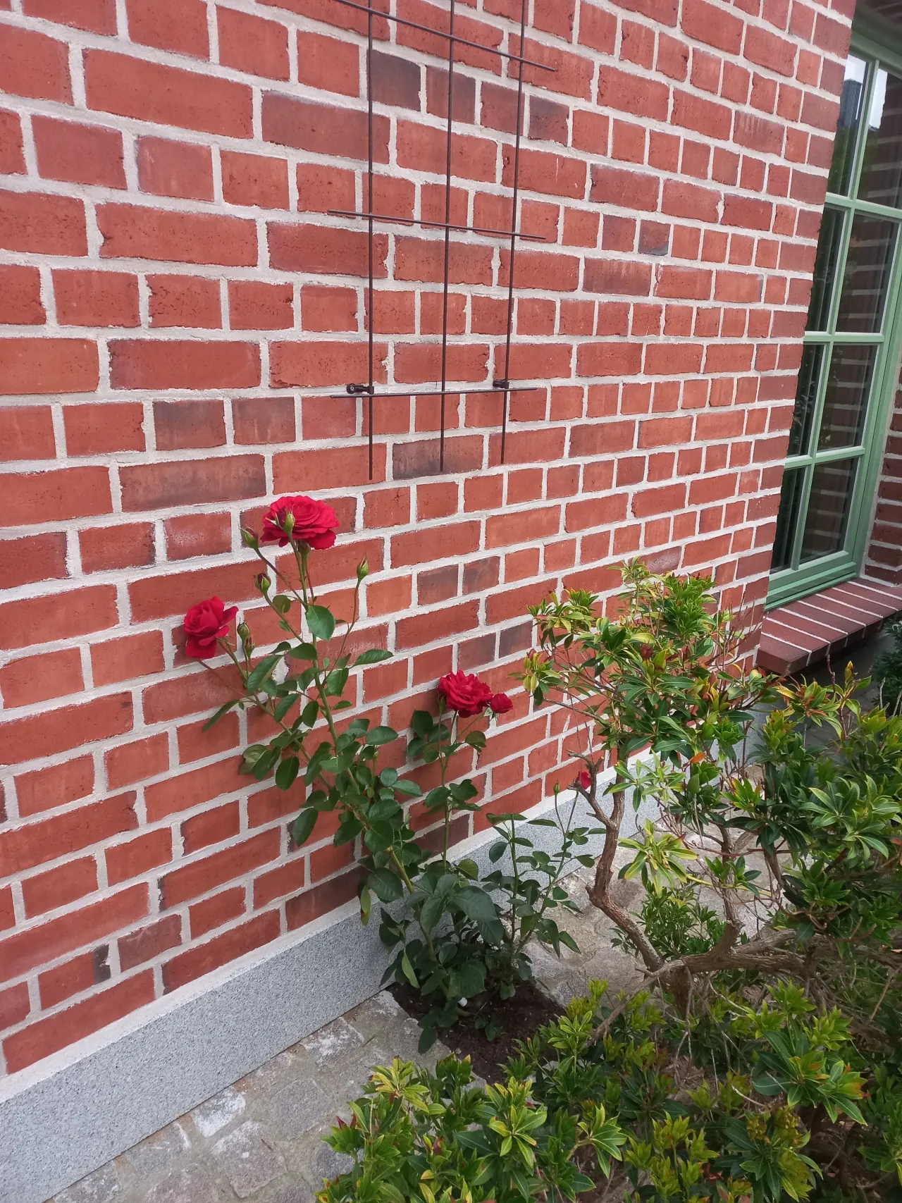 Klinker New York Flamme - wasserstrich rot