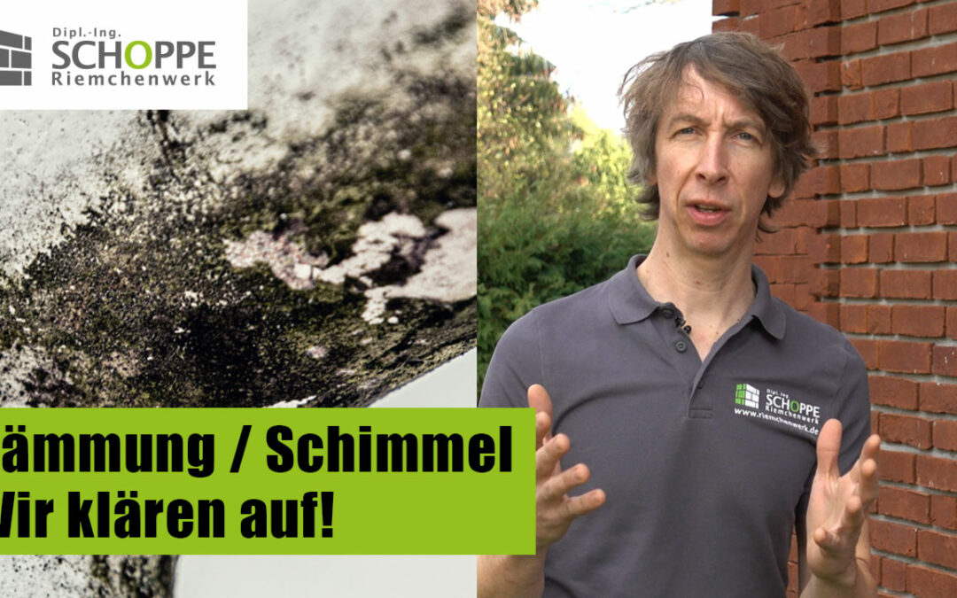 Wärmedämmung & Schimmel – wir klären auf!